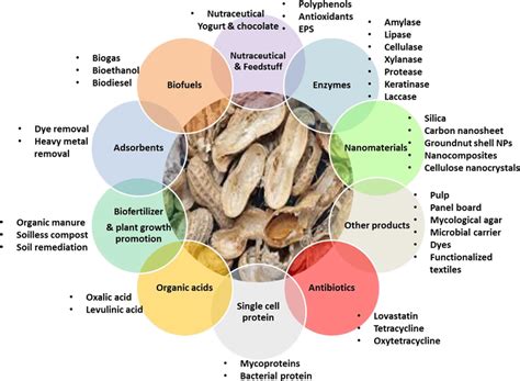 Image result for Paper From Groundnut Shell Making Process
