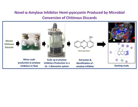 Novel α-Amylase Inhibitor Hemi-pyocyanin Produced by Microbial ...