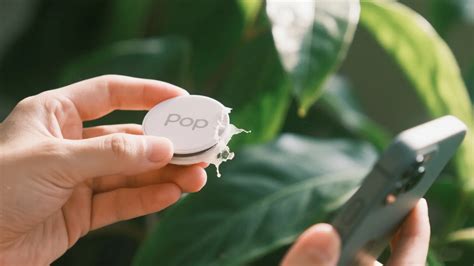 Image result for Remove Popsocket