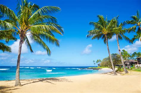 Hawaii Vacations | Pleasant Holidays