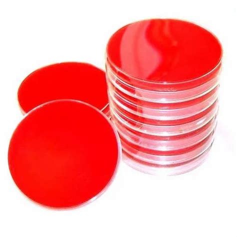ready to use media plates - Macconkey Agar plate Trader - Wholesaler ...