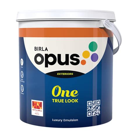 Birla Opus One True Look Paint: Transform Your Home with Superior ...