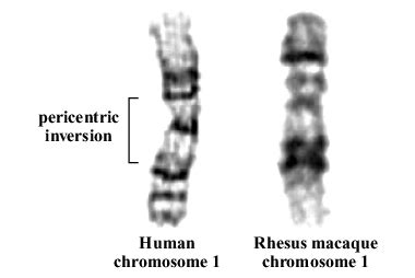 Image result for Abstract Methods of Collection Framework
