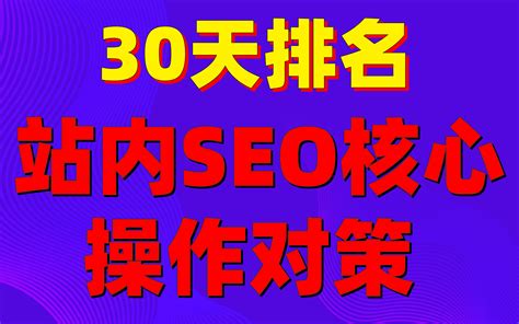 网站优化seo教程：30天排名之“站内SEO核心操作对策 ” - 哔哩哔哩