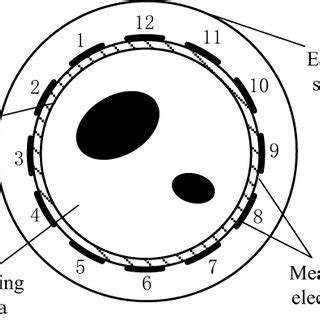 Testing ECT Sensor 的图像结果