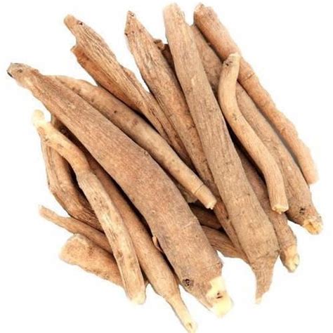 Shreeveer Organics Agro India Private Limited - Dry Shatavari Roots ...