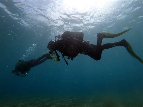 MOJO DIVE (2026) All You Need to Know BEFORE You Go (with Photos ...
