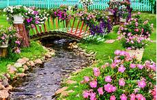 giardini in fiore foto fiori della primavera in giardino con uno stagno giardini in fiore foto fiori della primavera in giardino con uno stagno