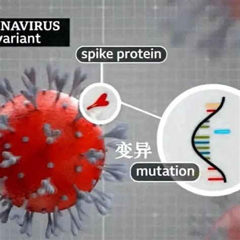 新冠病毒可以在物体表面存活多久呢？我们又该如何应对？_变异_密克_生存时间