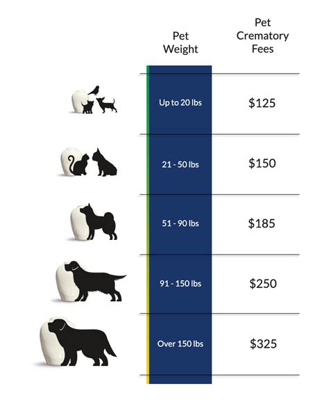 How Much Does It Cost to Get a Dog Cremated: Affordable Options - Dog ...