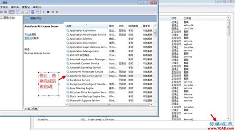 AutoForm Tutorial 的图像结果