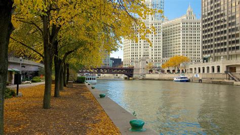 Chicago Family Travel Guide: Everything You Need to Know Before ...