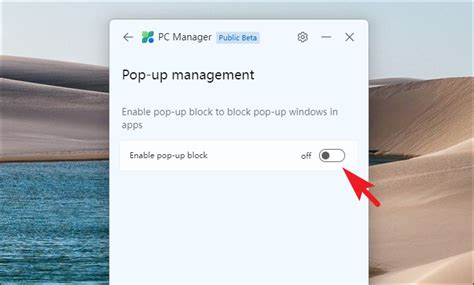 Block All Pop-Ups On This Computer 的图像结果