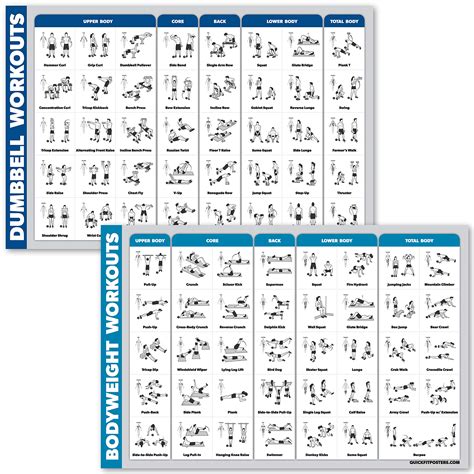 QuickFit Dumbbell Workouts and Bodyweight Exercise Poster Set ...