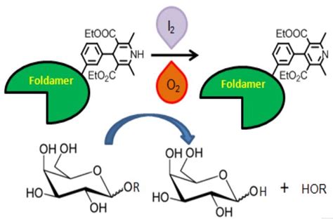 Prof. Debasish Haldar/publications/iiser kolkata/DCS/Faculty/chemistry