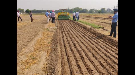 Punjab aims to bring 5 lakh acres under DSR method this paddy sowing ...
