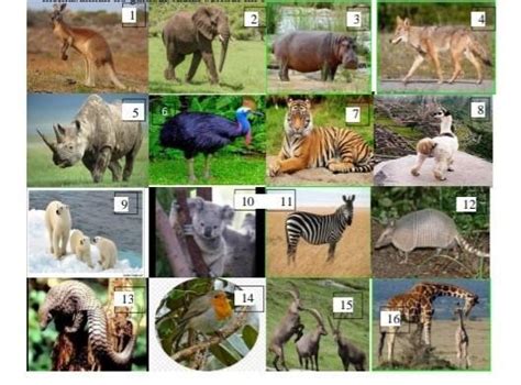 Image result for Interface of a Memory Module