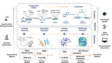 Structural Biology - AI4Science101