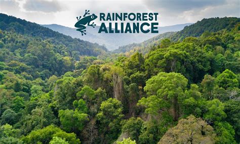 Rainforest Alliance Launches Latest Version of Its Sustainable ...