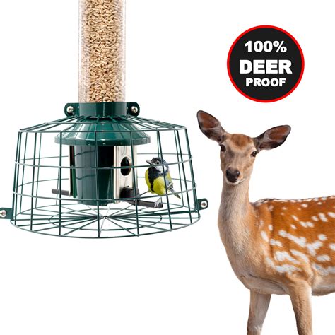 Deer Resistant Bird Feeders Where To Hang Bird Feeders To Best Attract