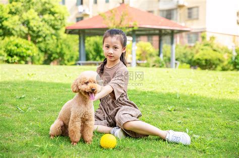 草地上和狗狗玩耍的男孩高清图片下载-正版图片308069796-摄图网
