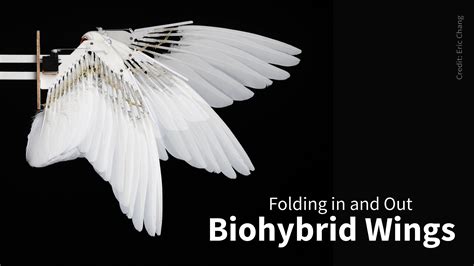 Robot Bird Design 的图像结果