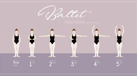 Difference Between Ballerina And Ballet Dancer - Free Printable Templates