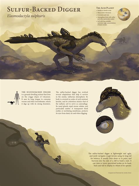 Alien Life Form Wallpaper 的图像结果