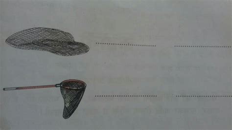 what do we call a net and a fishing net in hindi - Brainly.in