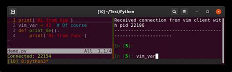 Image result for How to Use Vim for Python