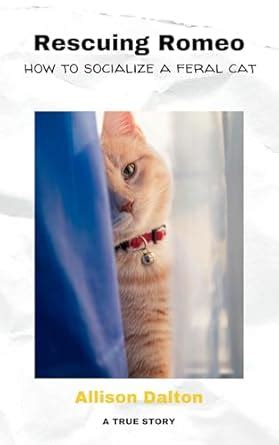 Rescuing Romeo: How to Socialize a Feral Cat eBook : Dalton, Allison ...