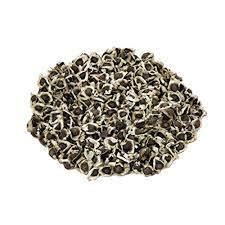 SK ORGANIC ODC MORINGA Seeds Advance Variety Drumstick Seeds (Sahjan ki ...