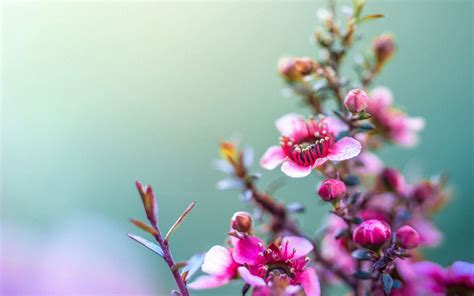 Image result for Que Significa En Python