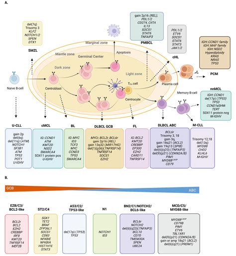 Genetic alterations in mature B- and T-cell lymphomas – a...