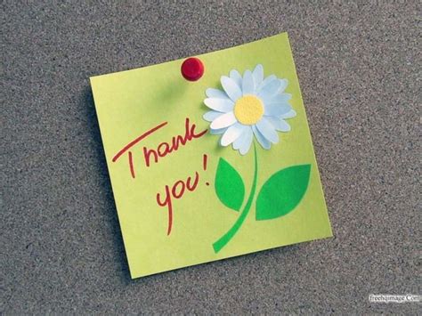 Image result for Process Analytical System Introduction