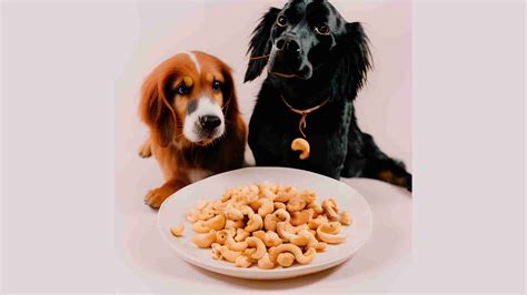 Can Dogs Eat Bacon? Is Bacon Safe For Dogs?