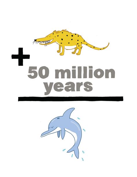 Image result for Dolphin Evolution