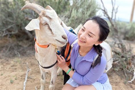 2026 Morning Walks With High Sierra Pack Goats (with Reviews)