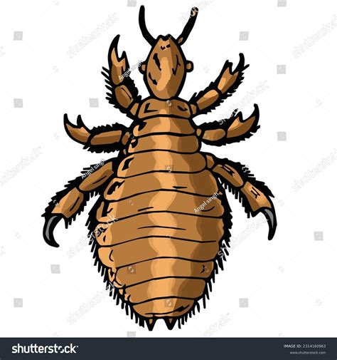 19 Lice Clipart Human Images, Stock Photos & Vectors | Shutterstock