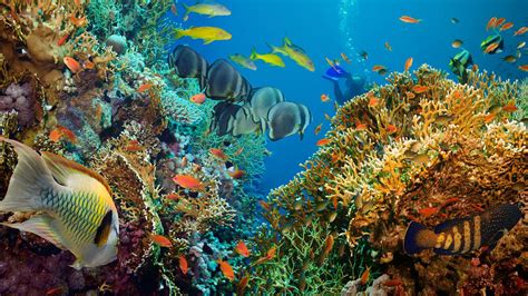 Global Warming Chart 的图像结果