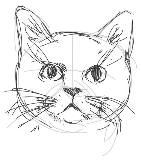 cat drawing very easy