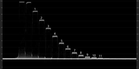 Image result for Canon R6 Dynamic Range
