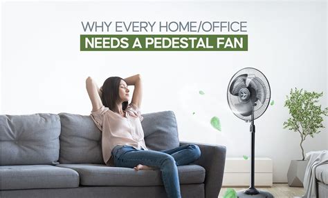Why Every Home Or Office Needs a Pedestal Fan – Longway India
