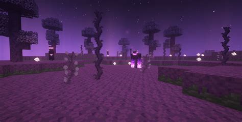 Image result for Minecraft End Mods