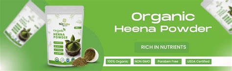 Buy Herb Vatika Ayurveda Organic Henna Powder | Natural Hair Dye ...