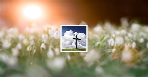 Obituary | Sandra "Sandy" Pyle | Bordwine Funeral Home Inc.