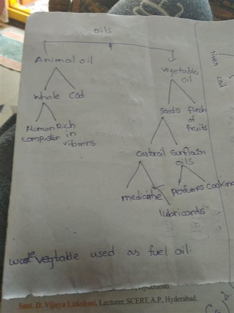 read the following paragraph and convert it into a tree diagram ...
