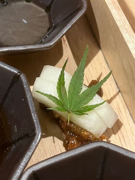 SOKI KANAZAWA - Hotel Reviews, Photos, Rate Comparison - Tripadvisor