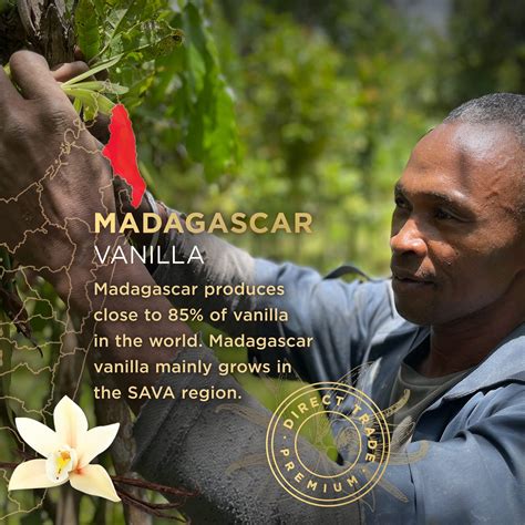 Snapklik.com : SAVA Madagascar Vanilla Bean Syrup 100% Pure Vanilla ...