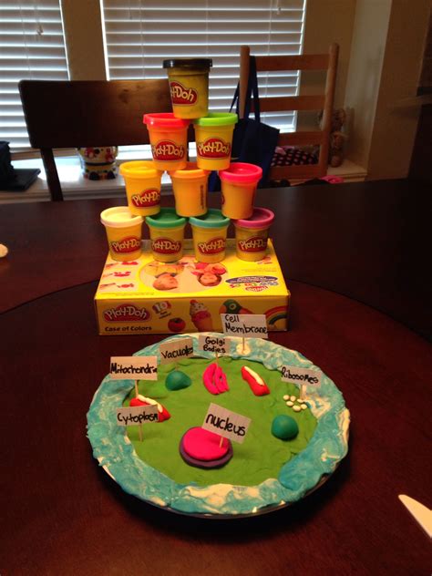 3D Cell Model Project